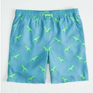 CYA Rexxin Boy’s Volley Shorts 🦖